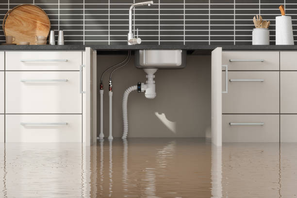 Best Fire Damage Restoration  in Pquemine, LA