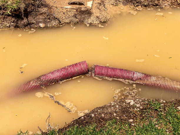 Water damage restoration process in Plaquemine, LA