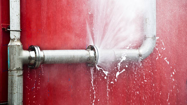 Best Water damage cleanup near me  in Pquemine, LA